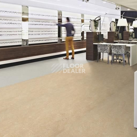 Forbo Marmoleum Decibel on Order 249935 sand фото 2 | FLOORDEALER